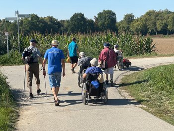 Menschen laufen auf einem Weg in der Sonne. Drei Personen im Rolllstuhl unterwegs.